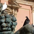 Valencia-05-06-2022-286