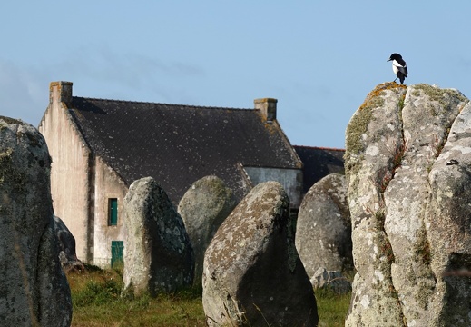 Bretagne Juni 2025