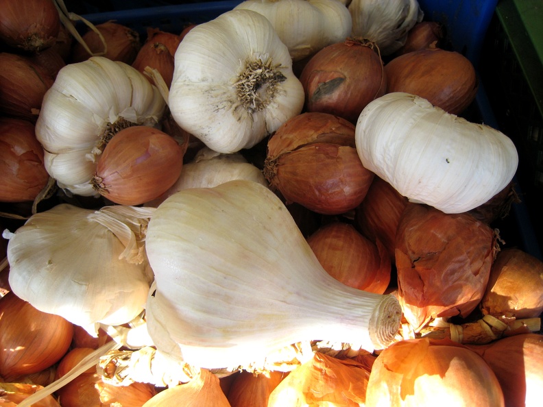 knoblauch-zwiebel.jpg